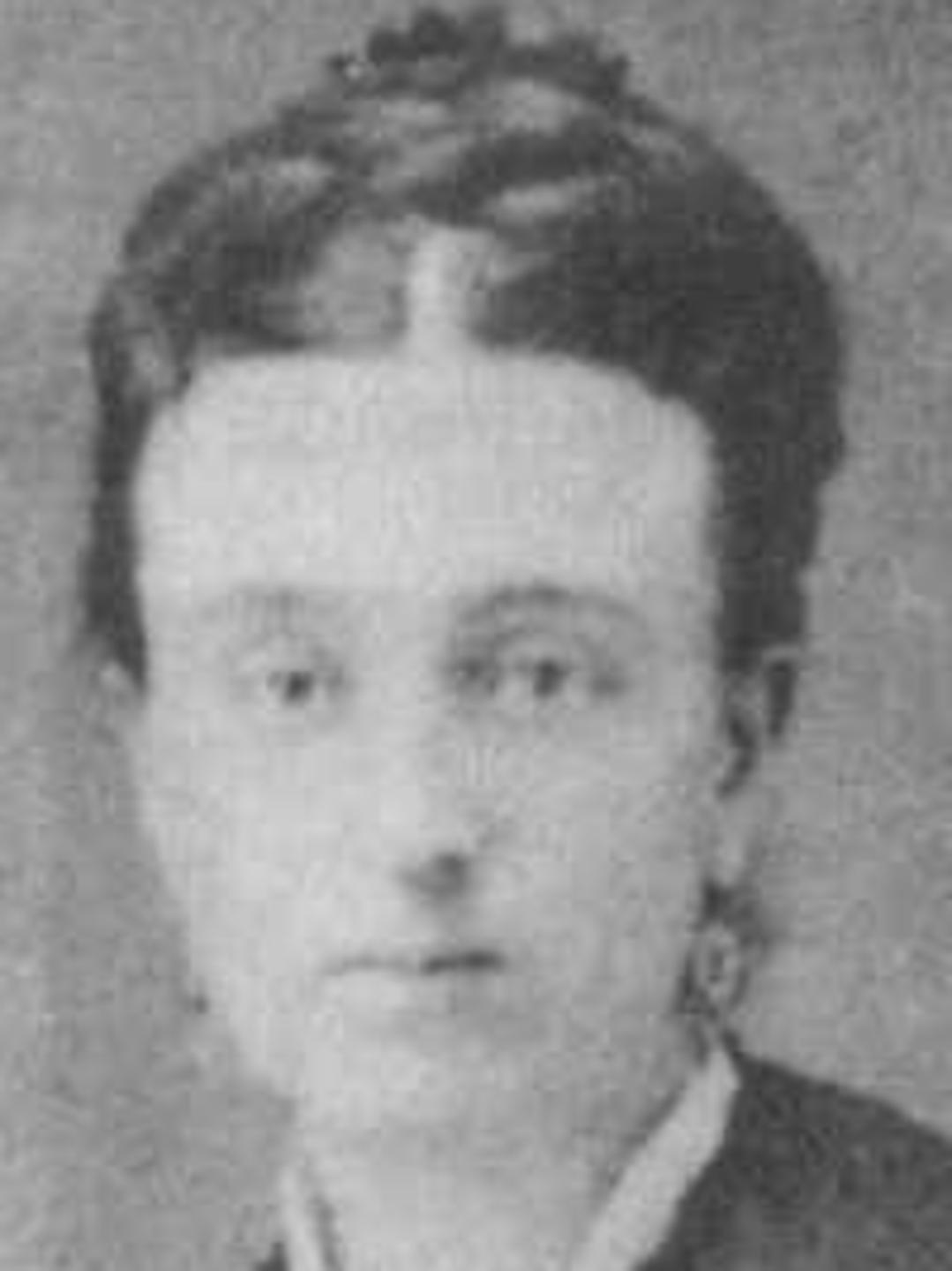 Elizabeth Trewelha (1854 - 1903) Profile